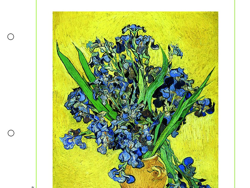 "Vaso con iris su fondo giallo" di Vincent Van Gogh "Vaso con iris su