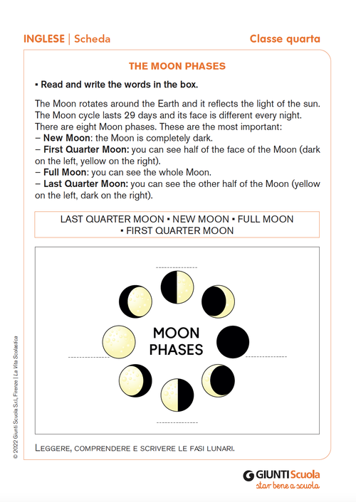 The Moon phases | Giunti Scuola