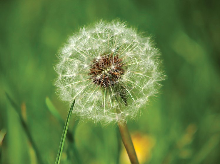 Attrazioni naturali | Giunti Scuola