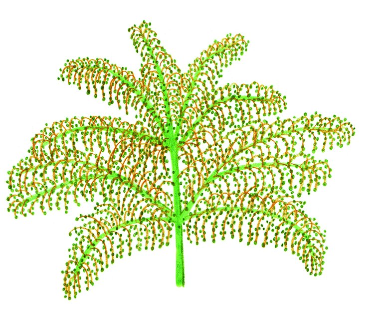 Competenze emotive e Geografia | Giunti Scuola