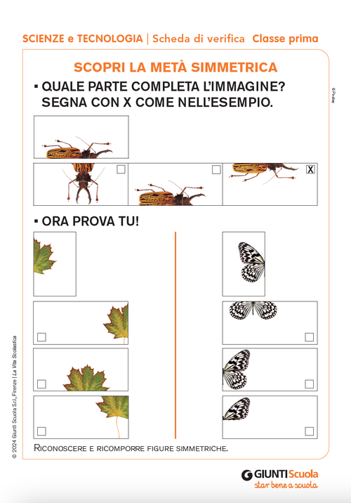 Scopri la metà simmetrica | Giunti Scuola Scopri la metà simmetrica | Giunti Scuola