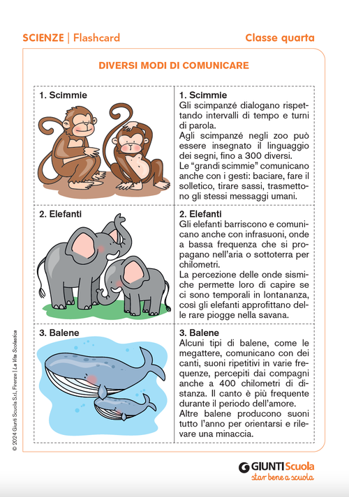 Diversi modi di comunicare | Giunti Scuola