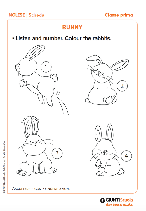 Bunny | Giunti Scuola