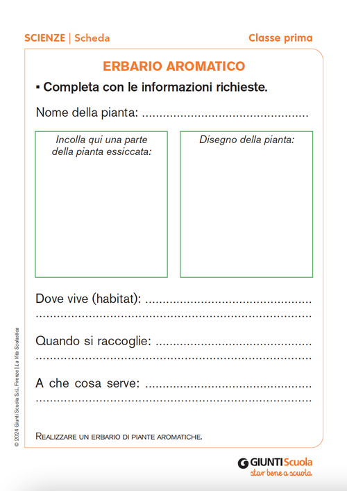 Erbario di piante aromatiche | Giunti Scuola Erbario di piante aromatiche | Giunti Scuola