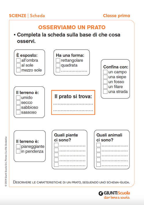 Osserviamo un prato | Giunti Scuola Osserviamo un prato | Giunti Scuola