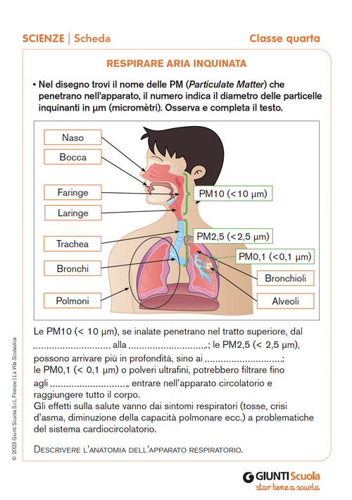Respirare aria inquinata | Giunti Scuola Respirare aria inquinata | Giunti Scuola