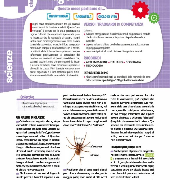 Il ragno Il ragno Giunti Scuola