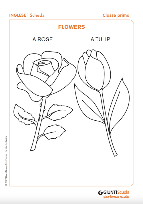 Flowers | Giunti Scuola Flowers | Giunti Scuola