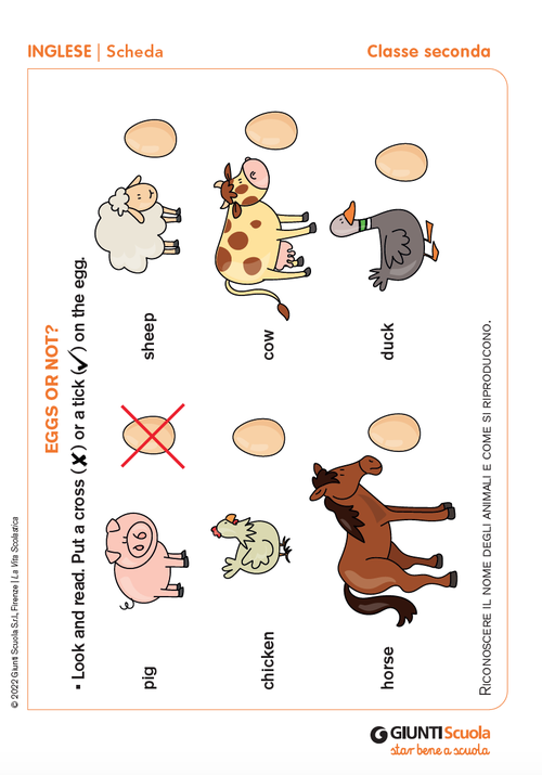Eggs or not? | Giunti Scuola Eggs or not? | Giunti Scuola