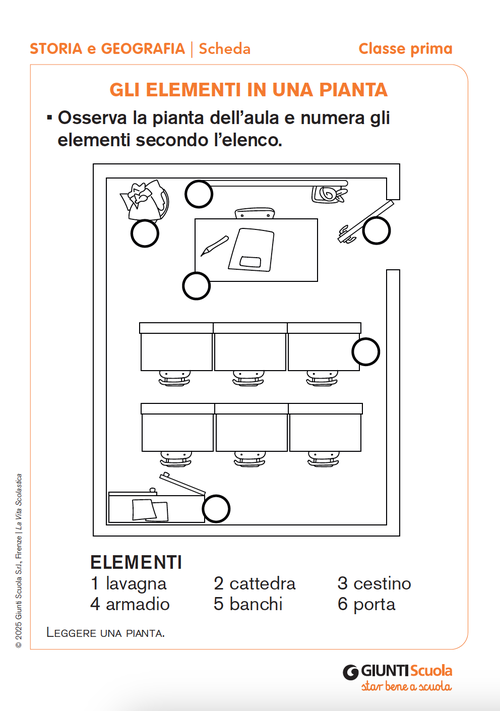 Gli elementi in una pianta | Giunti Scuola Gli elementi in una pianta | Giunti Scuola