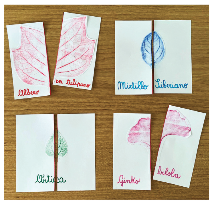 Classe seconda: lezioni e laboratori con puzzle, memory e molto altro | Giunti Scuola Classe seconda: lezioni e laboratori con puzzle, memory e molto altro | Giunti Scuola