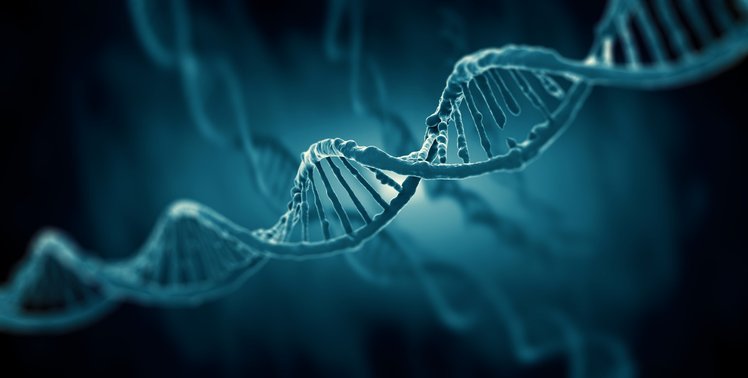 Epigenetica: il nuovo codice della vita | Laboratorio | Giunti Scuola Epigenetica: il nuovo codice della vita | Laboratorio | Giunti Scuola