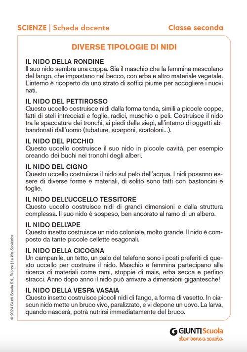 Diverse tipologie di nidi | Giunti Scuola Diverse tipologie di nidi | Giunti Scuola