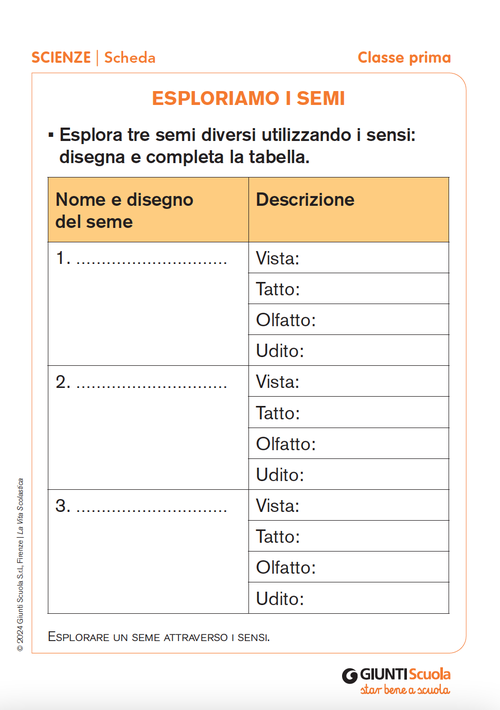 Esploriamo i semi | Giunti Scuola Esploriamo i semi | Giunti Scuola
