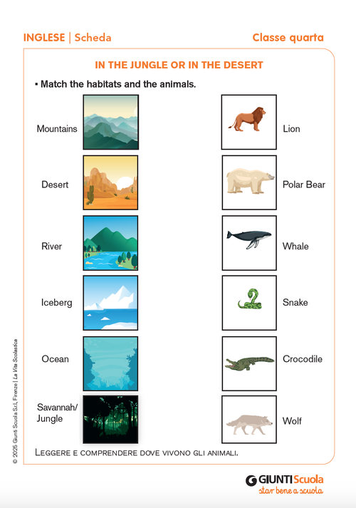 In the jungle or in the desert | Giunti Scuola In the jungle or in the desert | Giunti Scuola