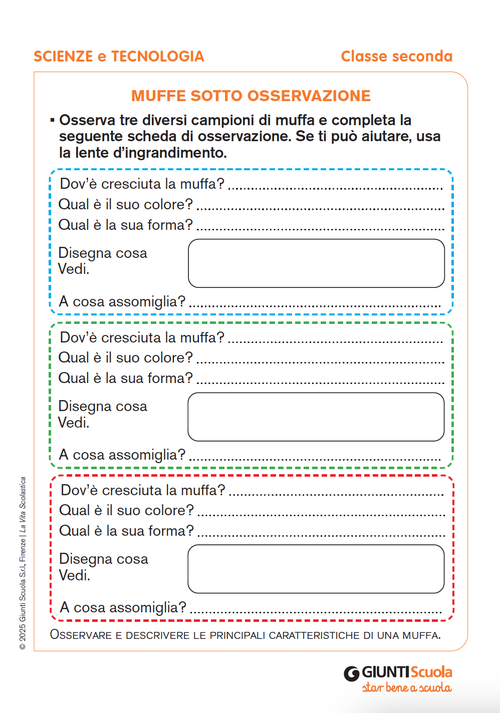 Muffe sotto osservazione | Giunti Scuola Muffe sotto osservazione | Giunti Scuola