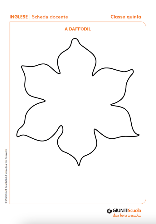 A daffodil | Giunti Scuola A daffodil | Giunti Scuola