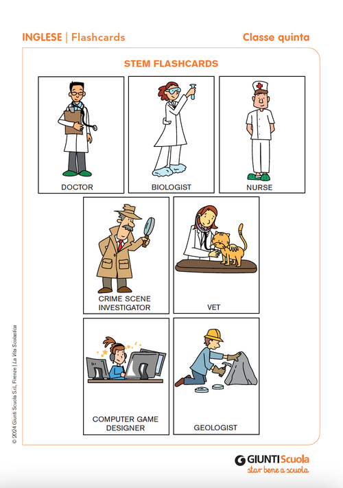 Flashcards Stem | Giunti Scuola Flashcards Stem | Giunti Scuola