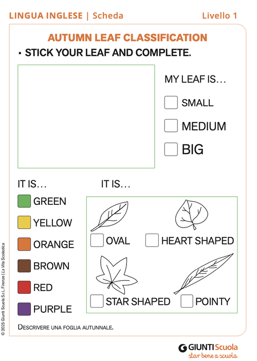 Autumn Leaf Classification | Giunti Scuola