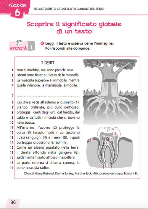 Ricostruire il significato | Invalsi III | Giunti Scuola Ricostruire il significato | Invalsi III | Giunti Scuola