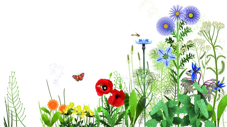 “La Vita Scolastica” di aprile | Indice del numero | Giunti Scuola