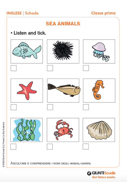 Sea animals | Giunti Scuola Sea animals | Giunti Scuola