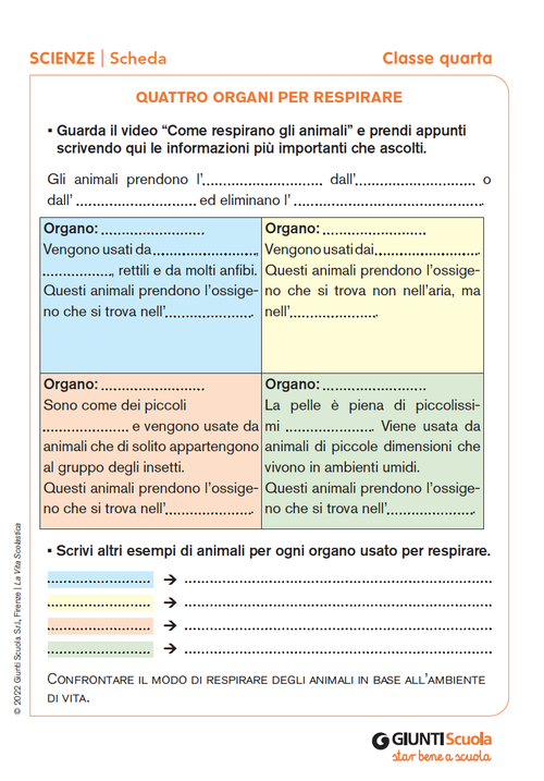 Quattro organi per respirare | Giunti Scuola Quattro organi per respirare | Giunti Scuola