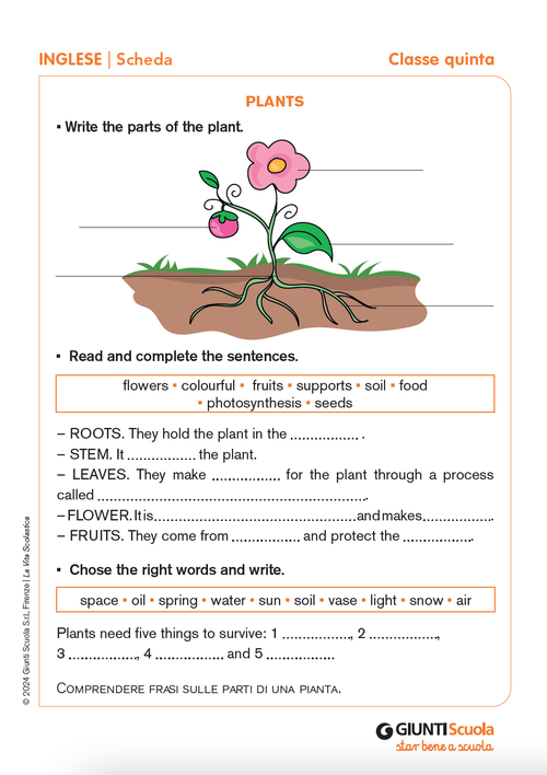 Plants | Giunti Scuola Plants | Giunti Scuola
