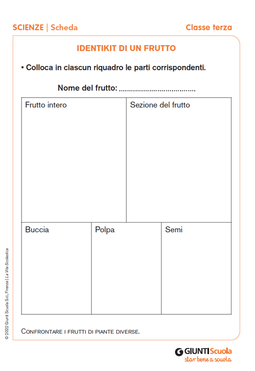 Identikit di un frutto | Giunti Scuola Identikit di un frutto | Giunti Scuola