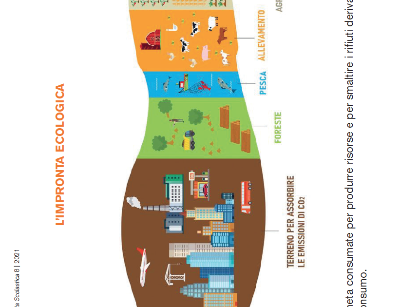 L Impronta Ecologica L Impronta Ecologica Giunti Scuola Free Hot Nude Porn Pic Gallery