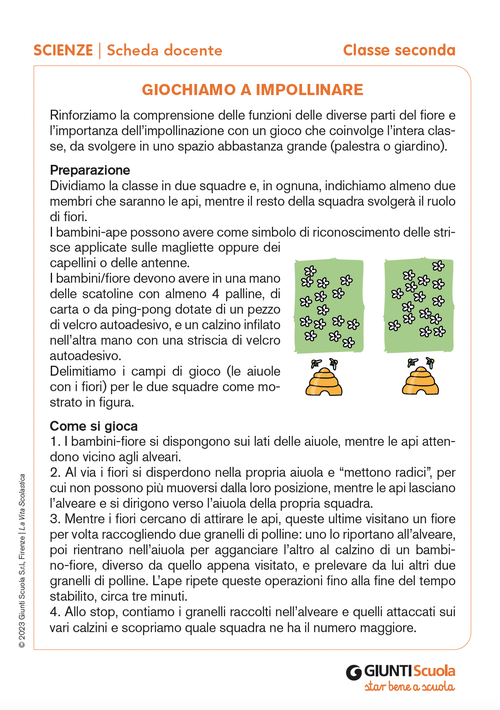 Giochiamo a impollinare | Giunti Scuola