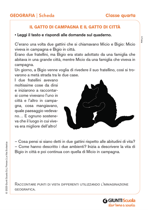 Il gatto di campagna e il gatto di città | Giunti Scuola Il gatto di campagna e il gatto di città | Giunti Scuola