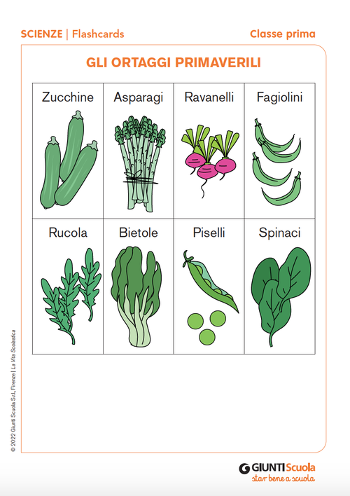 Flashcards: Gli ortaggi primaverili | Giunti Scuola Flashcards: Gli ortaggi primaverili | Giunti Scuola