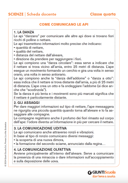 Come comunicano le api | Giunti Scuola Come comunicano le api | Giunti Scuola
