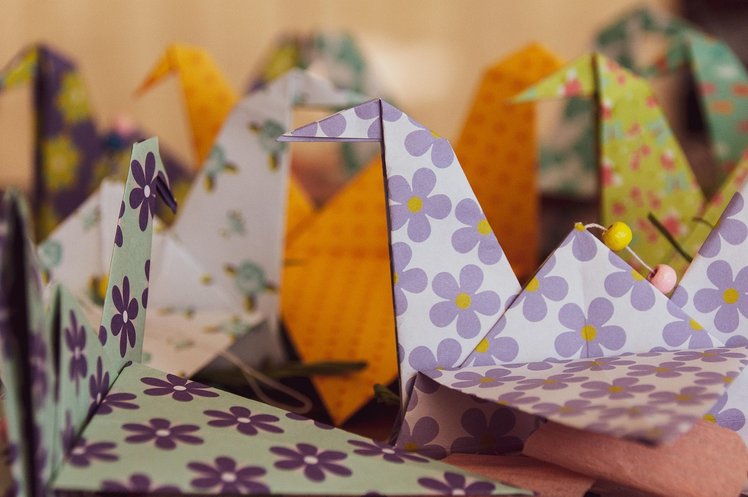 Origami: immaginare, piegare, costruire | Giunti Scuola