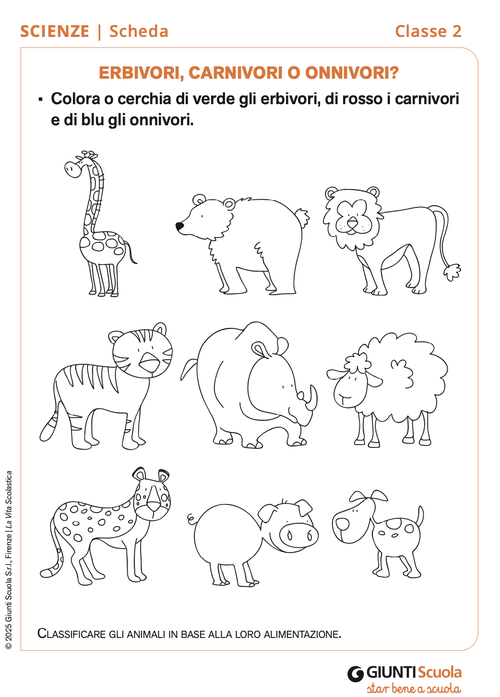 Erbivori, carnivori o onnivori? | Giunti Scuola