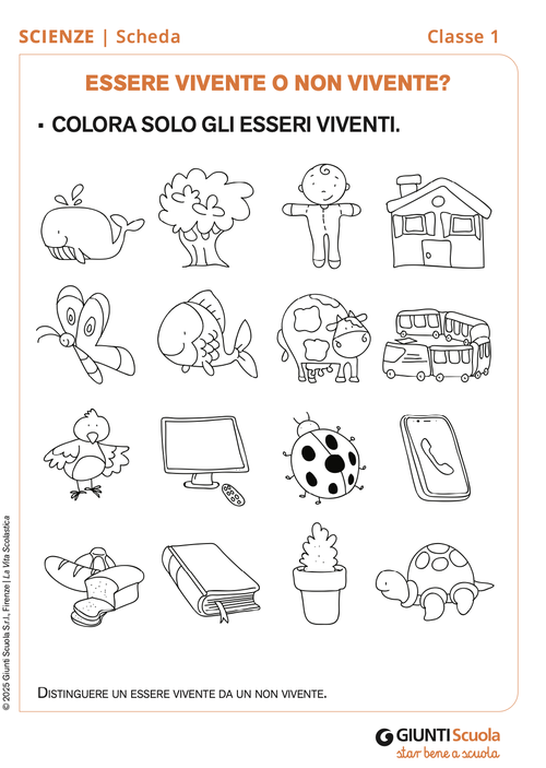 Essere vivente o non vivente? | Giunti Scuola Essere vivente o non vivente? | Giunti Scuola