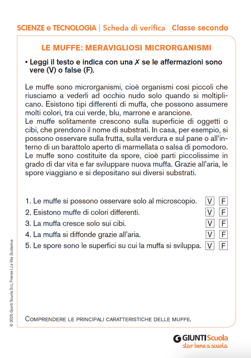 Le muffe: meravigliosi microrganismi | Giunti Scuola Le muffe: meravigliosi microrganismi | Giunti Scuola