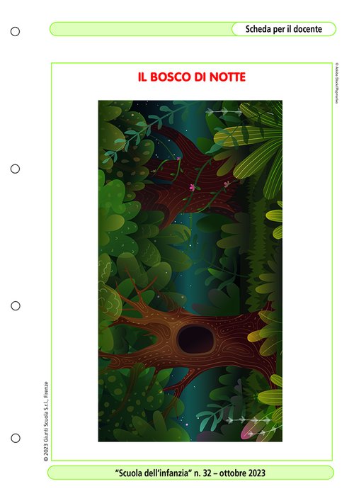 Il bosco di notte | Giunti Scuola Il bosco di notte | Giunti Scuola