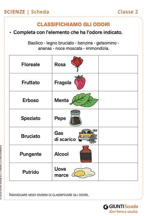 Classifichiamo gli odori | Giunti Scuola