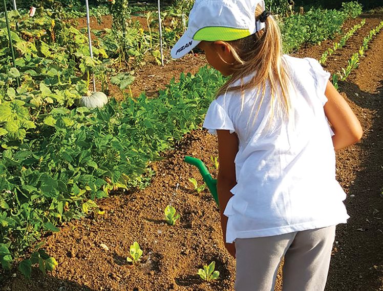Orto: una routine ecologica | Giunti Scuola Orto: una routine ecologica | Giunti Scuola