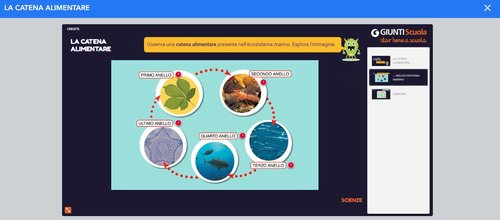 La catena alimentare - Dbookeasy | Giunti Scuola