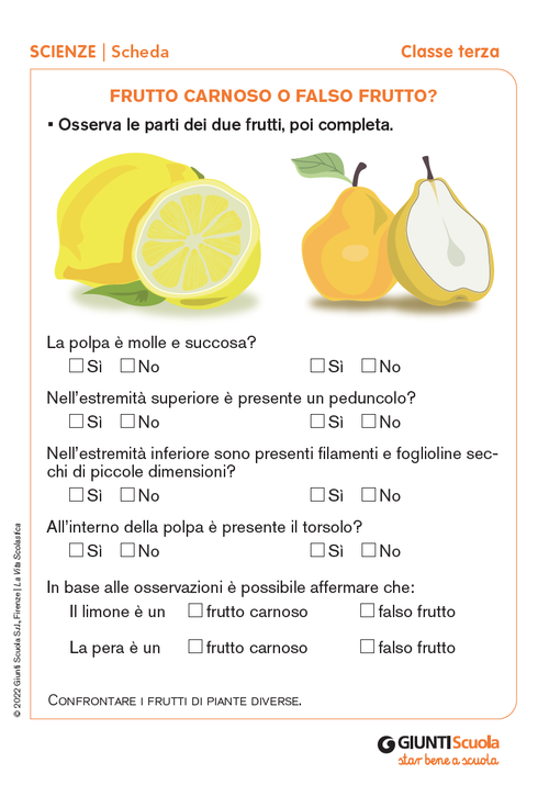 Frutto carnoso o falso frutto? | Giunti Scuola