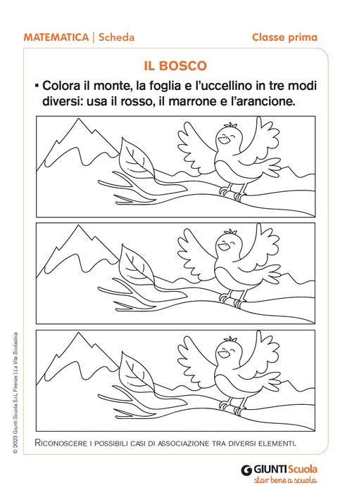 Il bosco | Giunti Scuola Il bosco | Giunti Scuola