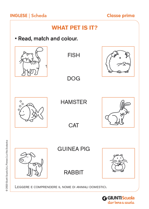 What pet is it? | Giunti Scuola