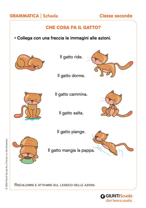 Che cosa fa il gatto? | Giunti Scuola Che cosa fa il gatto? | Giunti Scuola
