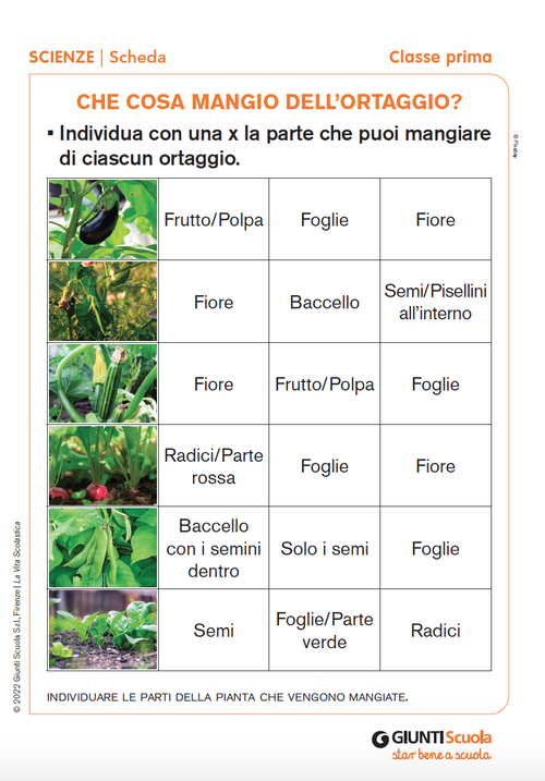 Che cosa mangio dell'ortaggio | Giunti Scuola