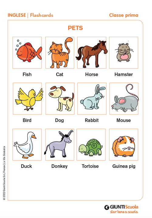Flashcards: Pets | Giunti Scuola Flashcards: Pets | Giunti Scuola