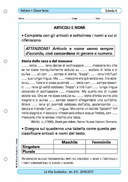Articoli E Nomi Articoli E Nomi Giunti Scuola