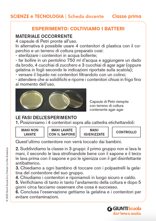 Esperimento: coltiviamo i batteri | Giunti Scuola